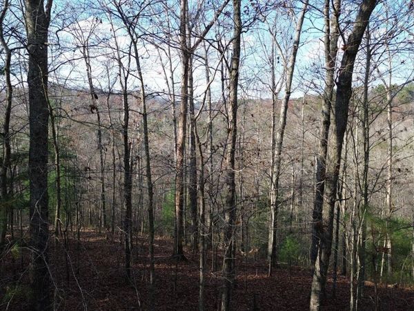 865 Bolster Lane, Ranger, GA 30734