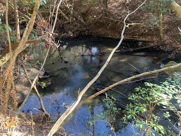 Tract 2 Lone Wolf Trail , Spencer, TN 38585