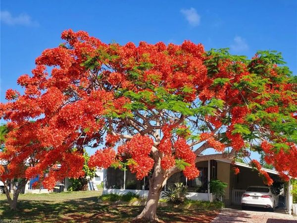 26257 Queen Mary LN, BONITA SPRINGS, FL 34135