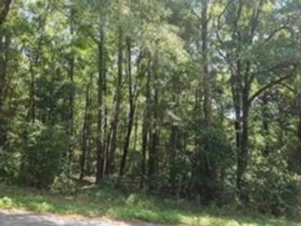 0 Mill House Drive S, Mobile, AL 36619