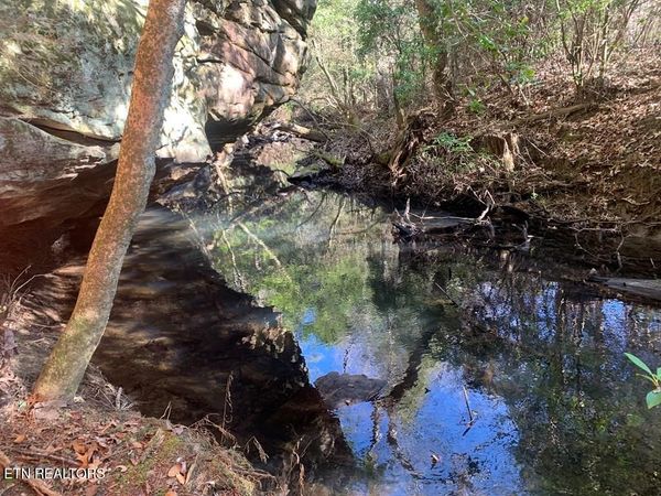 Tract 3 Lone Wolf Trail , Spencer, TN 38585