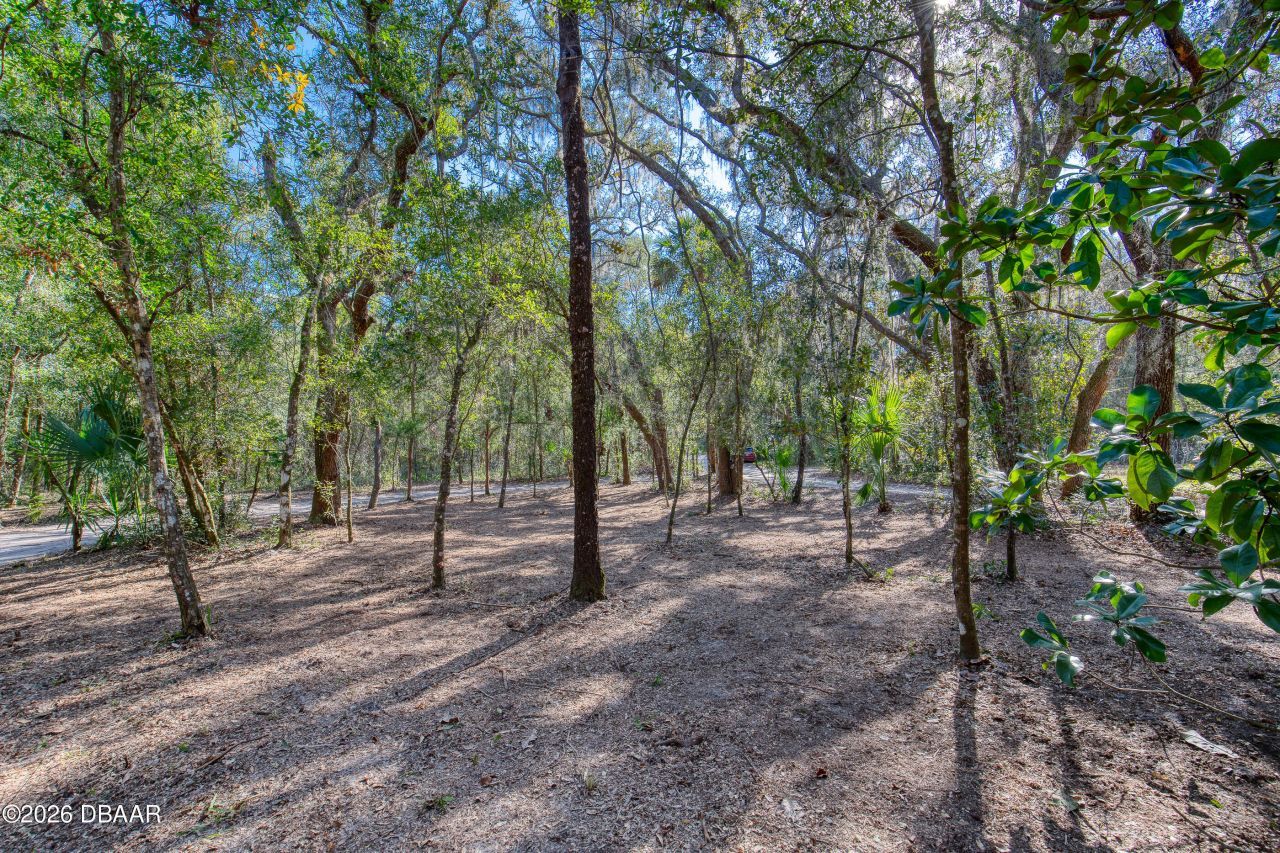 5669 Winona Trail, De Leon Springs, FL 32130 Photo