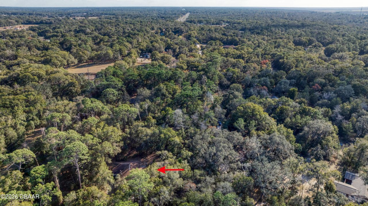 5669 Winona Trail, De Leon Springs, FL 32130 Photo