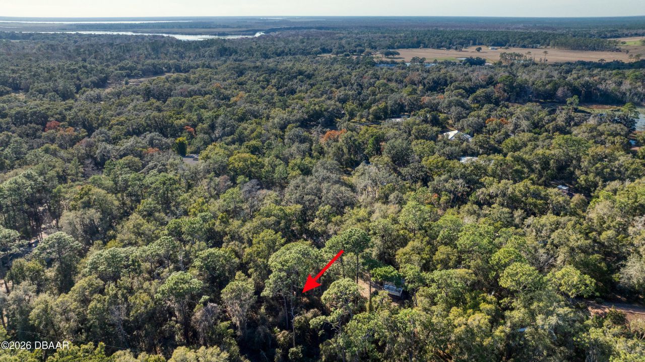 5669 Winona Trail, De Leon Springs, FL 32130 Photo