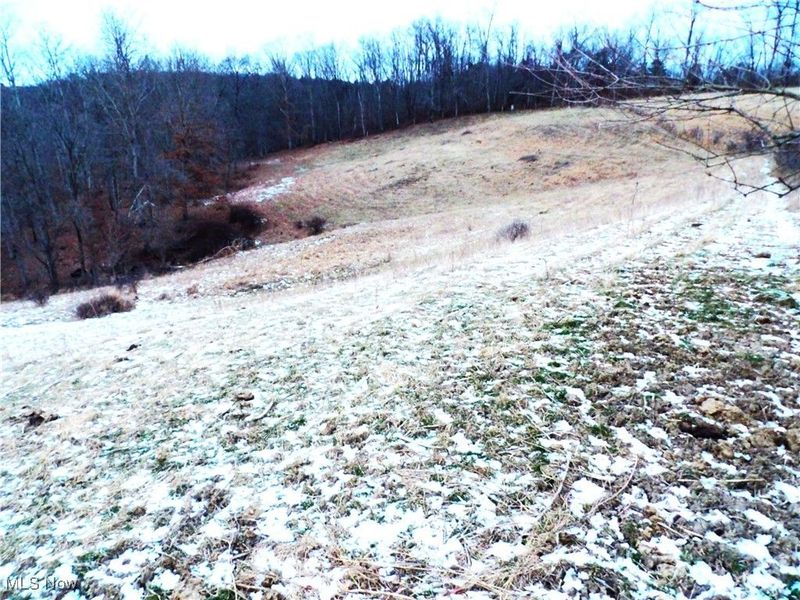 50877 Moore Ridge Road, Jerusalem, OH 43747 Photo 11