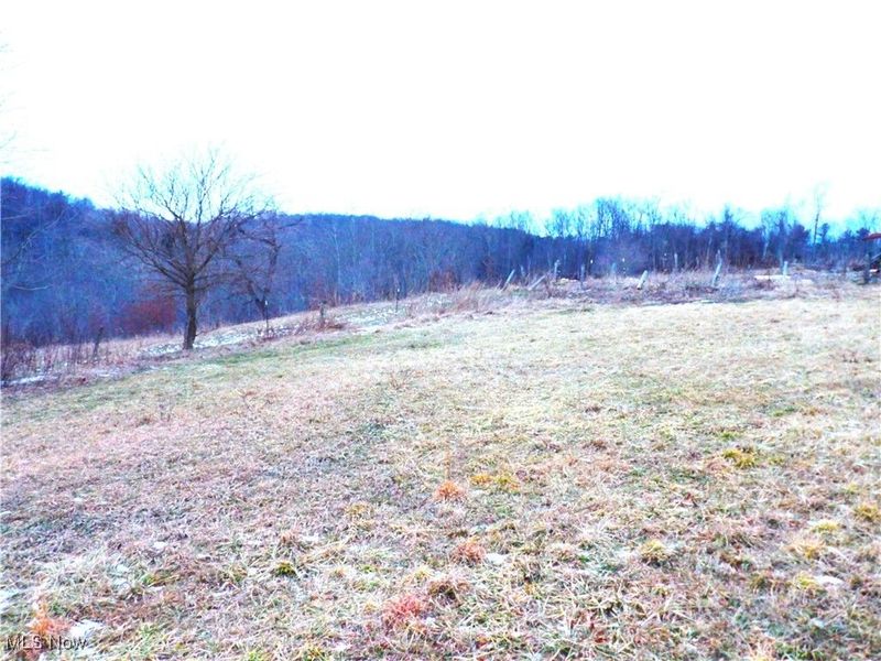 50877 Moore Ridge Road, Jerusalem, OH 43747 Photo 3