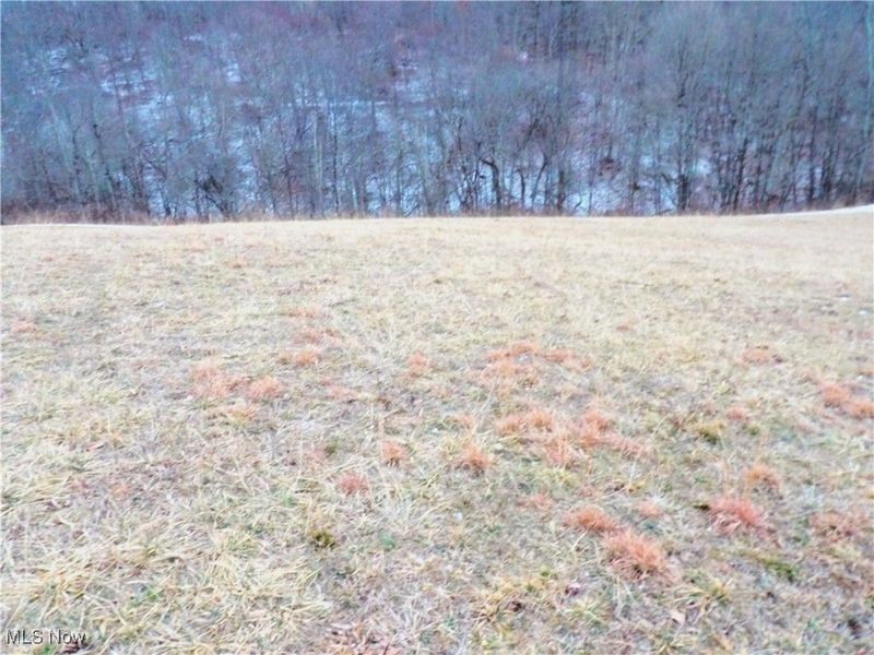 50877 Moore Ridge Road, Jerusalem, OH 43747 Photo 5