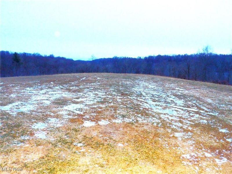 50877 Moore Ridge Road, Jerusalem, OH 43747 Photo 7