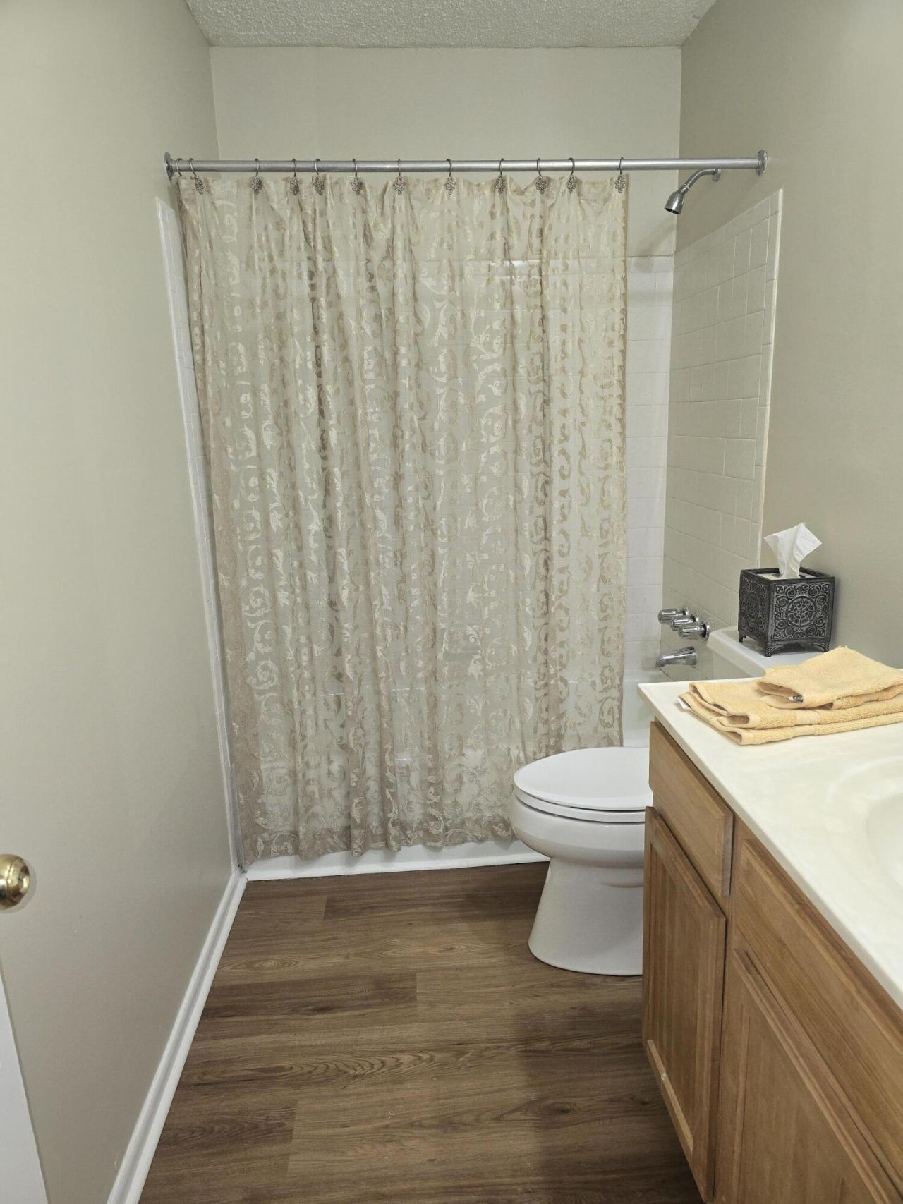 805 Andrea Lane Photo 18