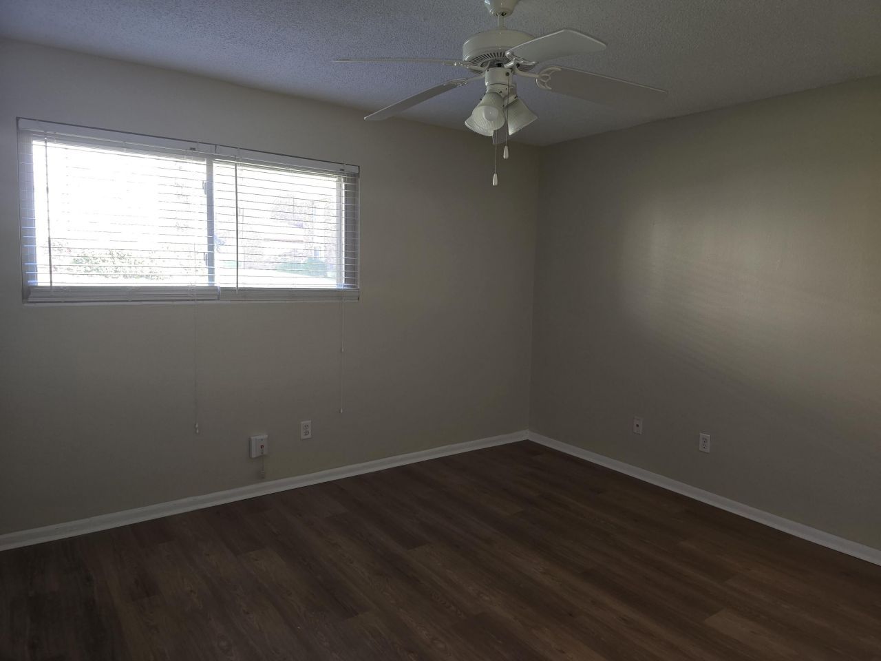 805 Andrea Lane Photo 19