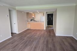 805 Andrea Lane photo 4