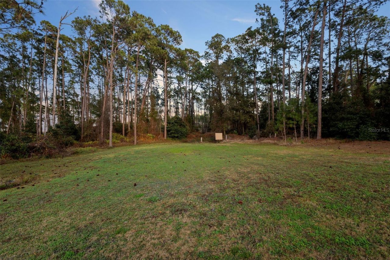 73 Sanctuary Avenue, Debary, FL 32713 Photo