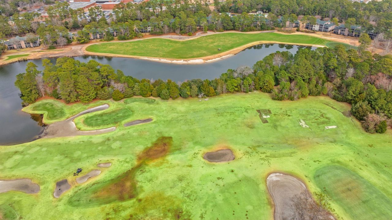 1135 Blue Stem Dr. Photo 29