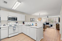 1135 Blue Stem Dr. photo 4