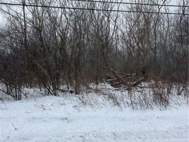 V/L Leroy Center Road, Leroy, OH 44077