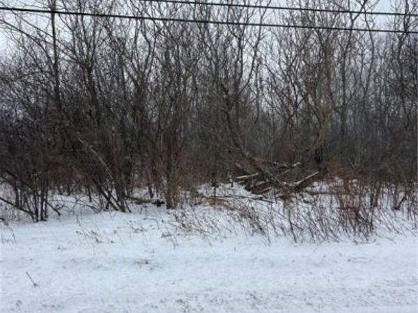 V/L Leroy Center Road, Leroy, OH 44077