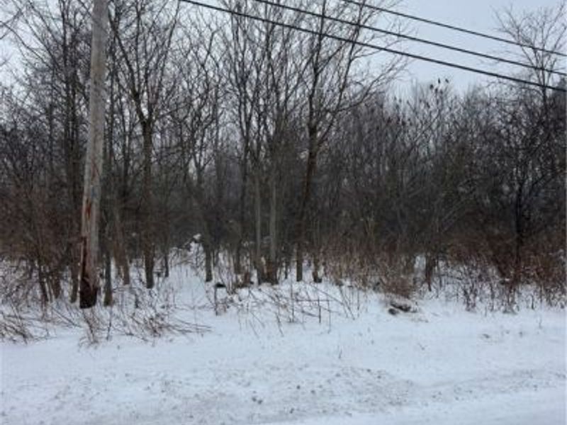 V/L Leroy Center Road, Leroy, OH 44077 Photo 2