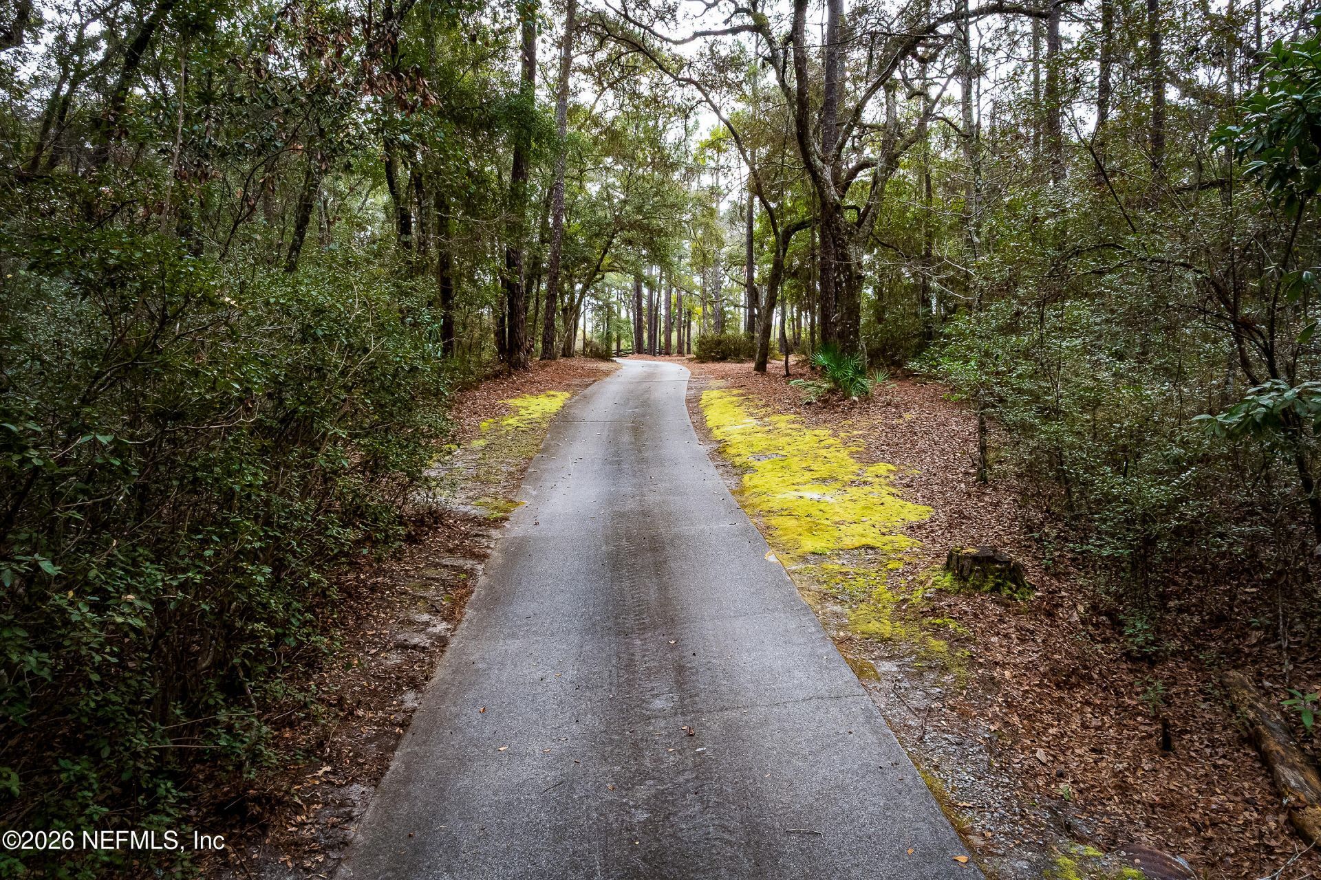 28175 Hammock Road, Hilliard, FL 32046 Photo