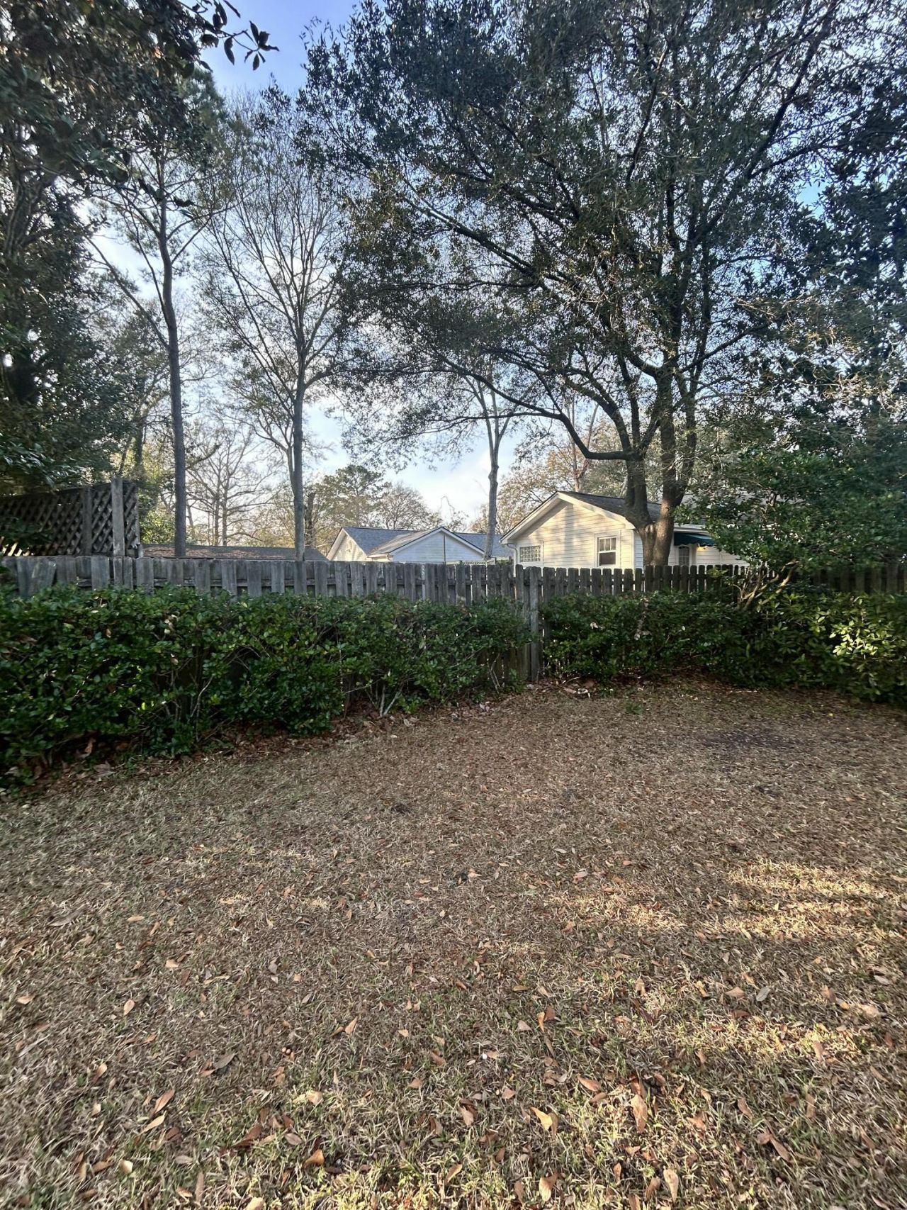 1606 Ashley River Road Photo 10