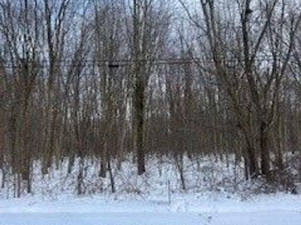 Walter Main Road, Geneva, OH 44041