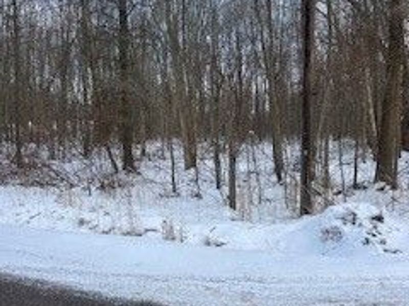 Walter Main Road, Geneva, OH 44041 Photo 2