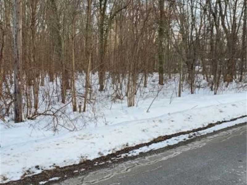 Walter Main Road, Geneva, OH 44041 Photo 3