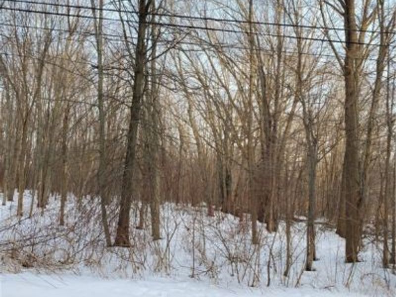 Walter Main Road, Geneva, OH 44041 Photo 4