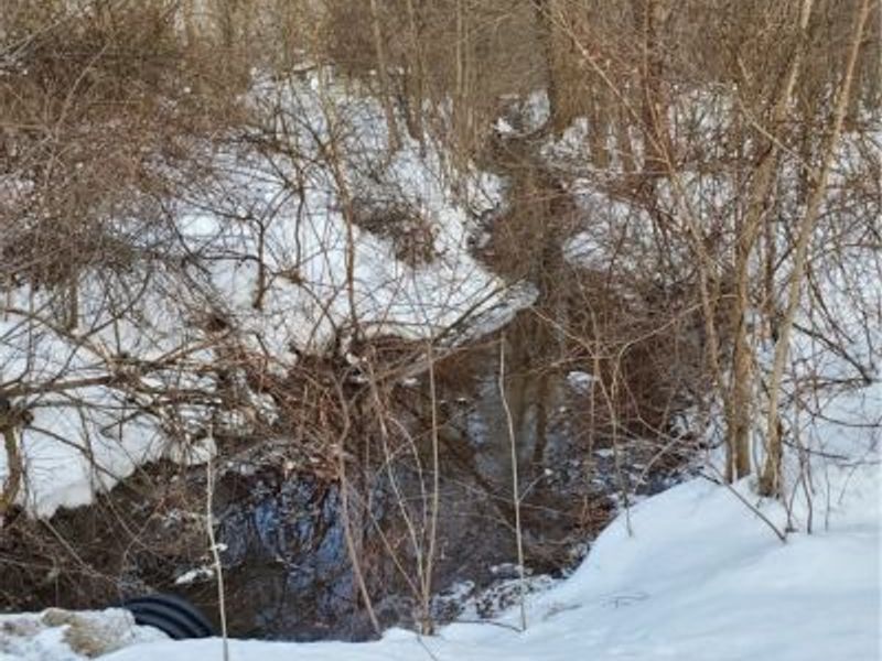 Walter Main Road, Geneva, OH 44041 Photo 5