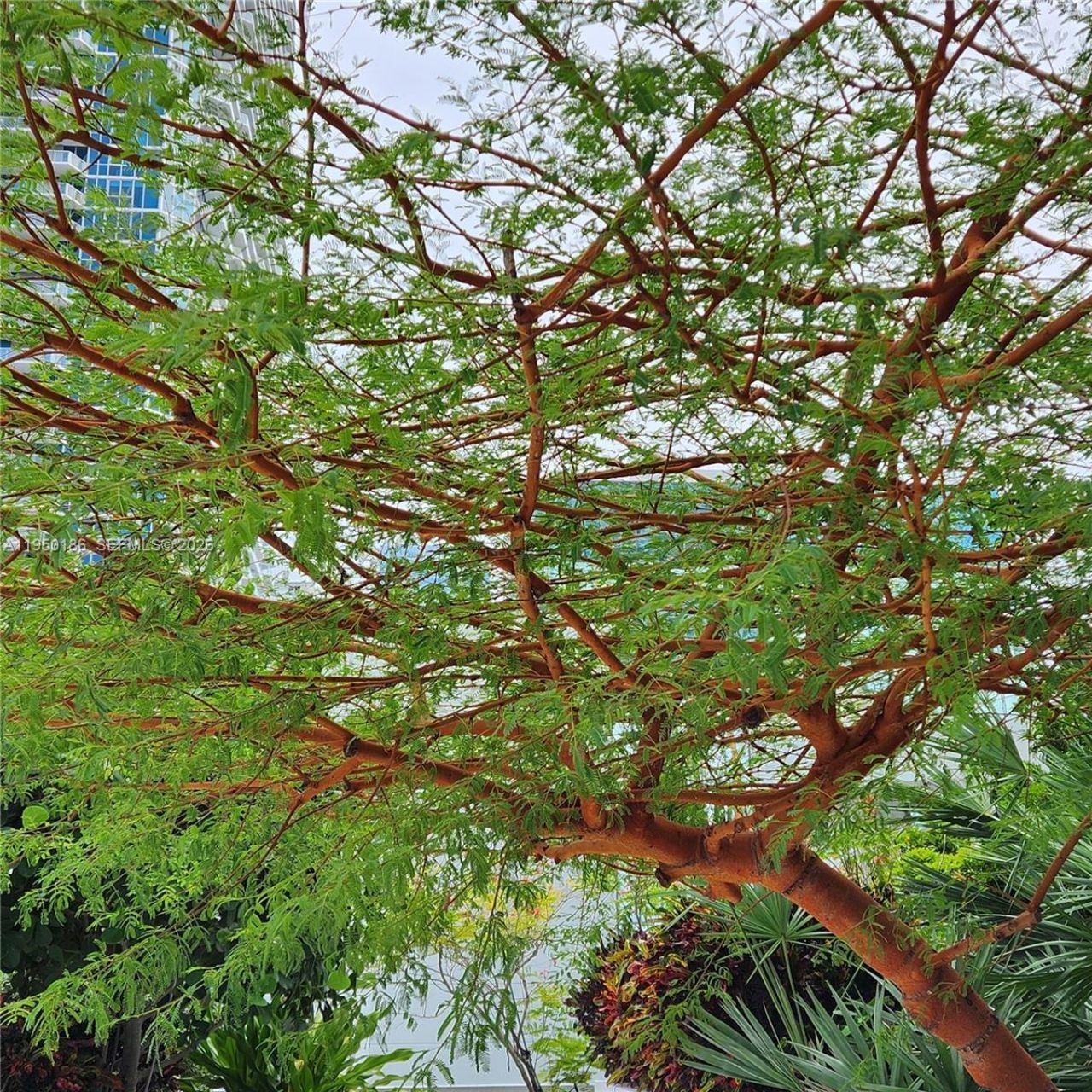 950 Brickell Bay Dr, Unit 4108, Miami, FL 33131 Photo