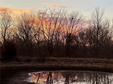 NW 870 Road, Blairstown, MO 64726