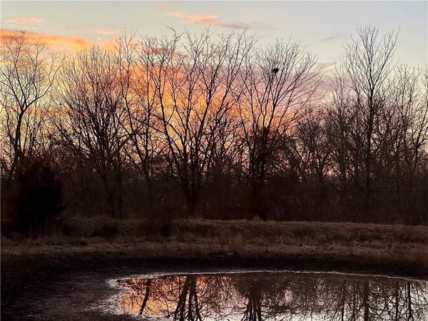 NW 870 Road, Blairstown, MO 64726