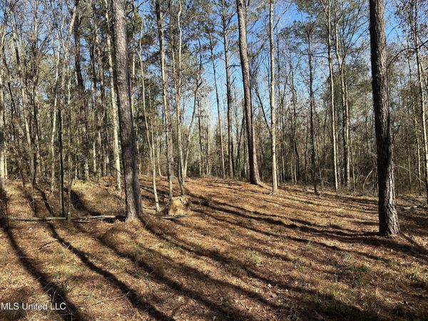 0000 Crooked Creek Road, Silver Creek, MS 39663