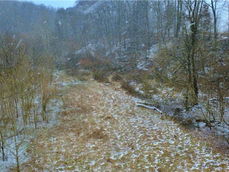 2771 S River Road, Stockport, OH 43787 Photo 21