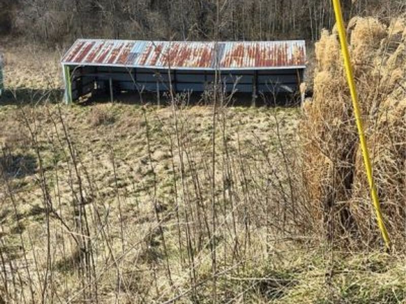 2771 S River Road, Stockport, OH 43787 Photo 30