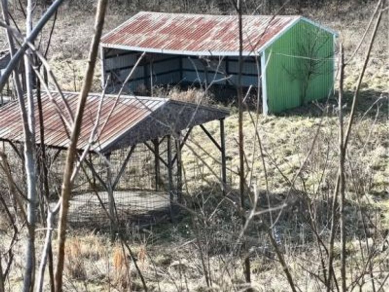 2771 S River Road, Stockport, OH 43787 Photo 31