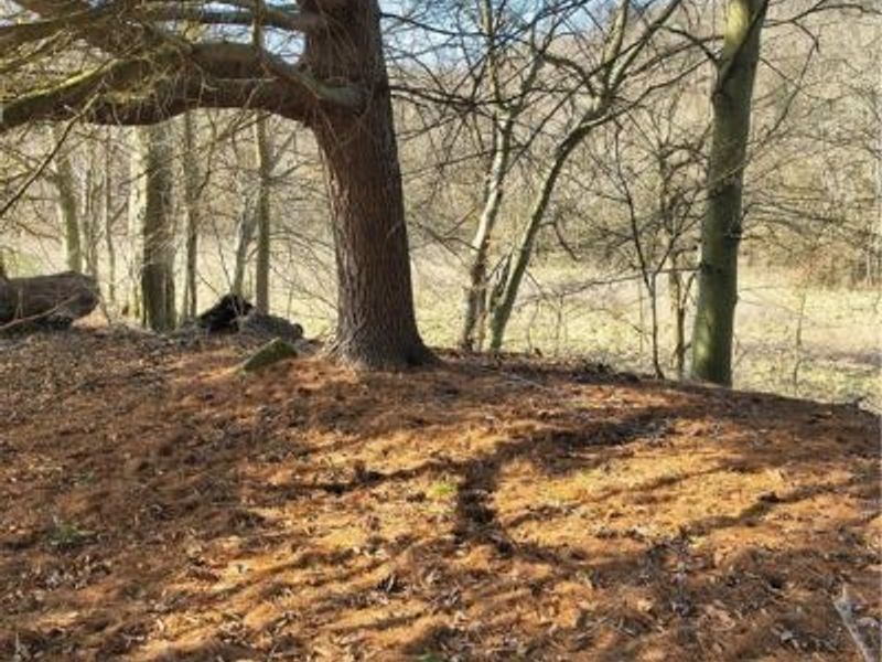 2771 S River Road, Stockport, OH 43787 Photo 9