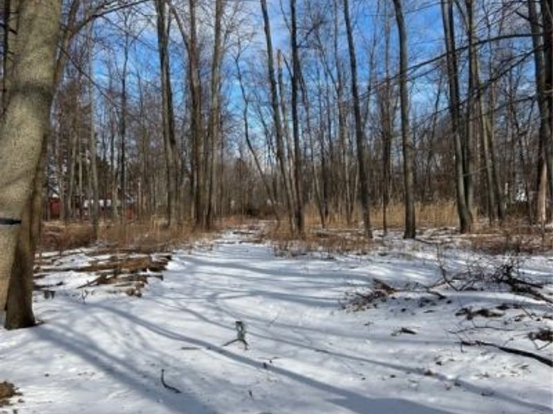 7494 Salida Road, Mentor on the Lake, OH 44060 Photo 1