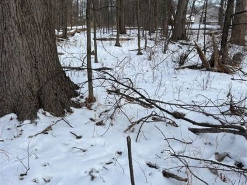 7494 Salida Road, Mentor on the Lake, OH 44060 Photo 4