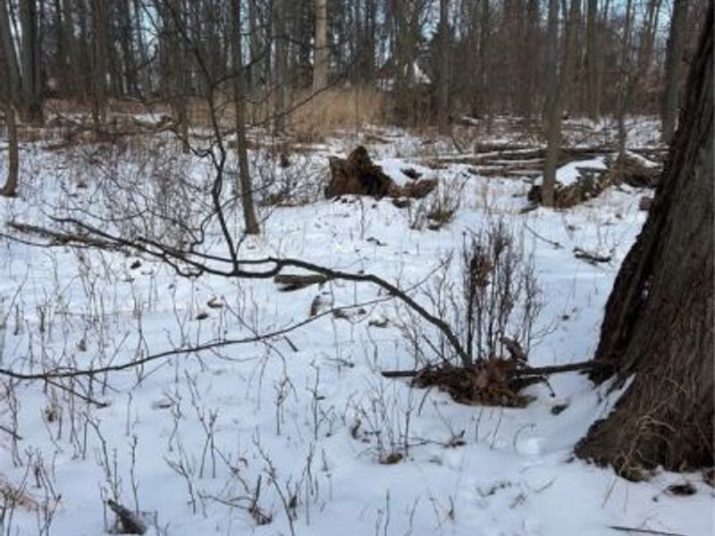 7494 Salida Road, Mentor on the Lake, OH 44060 Photo 5