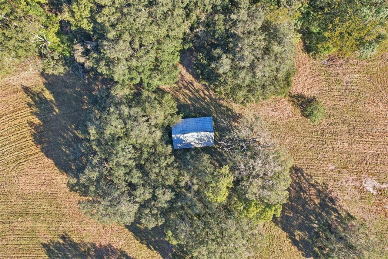 4610 E County Road 542, Lakeland, FL 33801 Photo