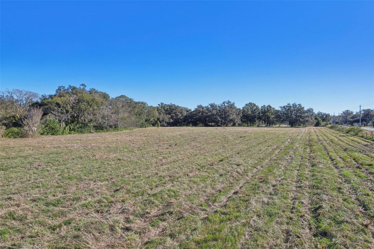 4610 E County Road 542, Lakeland, FL 33801 Photo