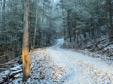 Lot 2 Cave Hollow Road, Campton, KY 41301