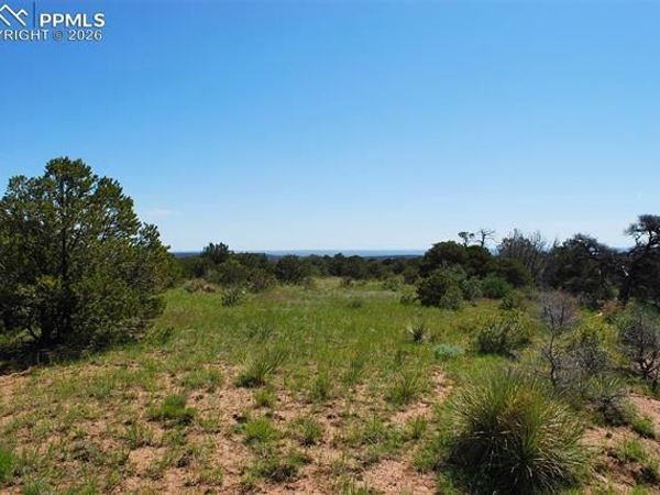 Williams Road, Walsenburg, CO 81089