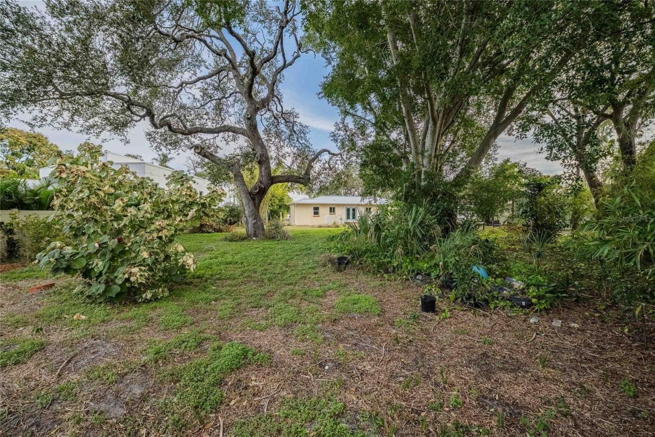 6213 Sanders Drive, Tampa, FL 33611 Photo