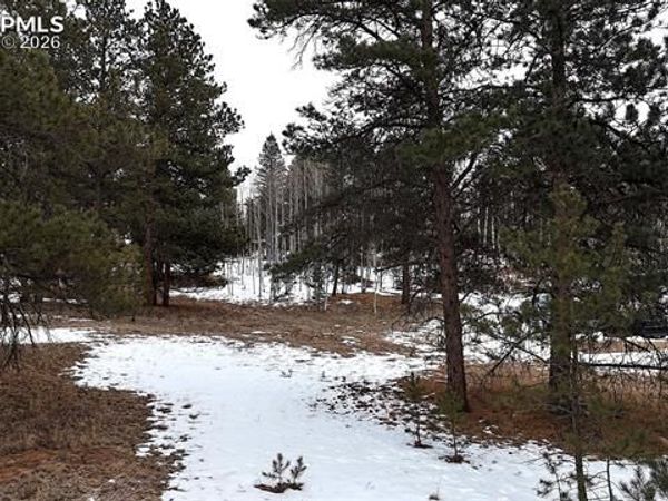 210 Rhyolite Lane, Florissant, CO 80816