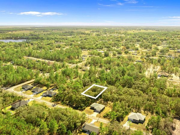 000 Tbd, Ocklawaha, FL 32179