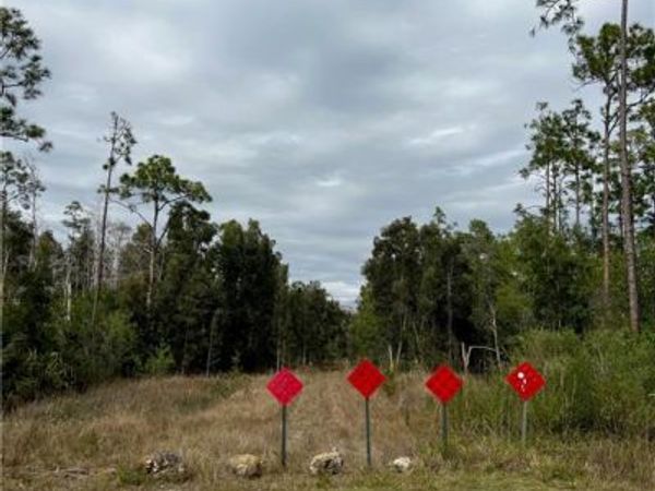 24265 Rocky RD, BONITA SPRINGS, FL 34135