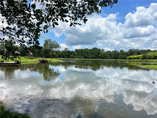 12553 Bell Creek Drive N, Grand Bay, AL 36541