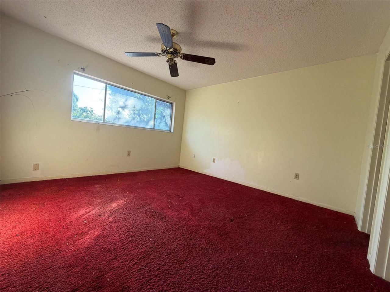 2311 15th Street W, Palmetto, FL 34221 Photo