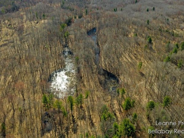 VL W Weidman Road, Weidman, MI 48893